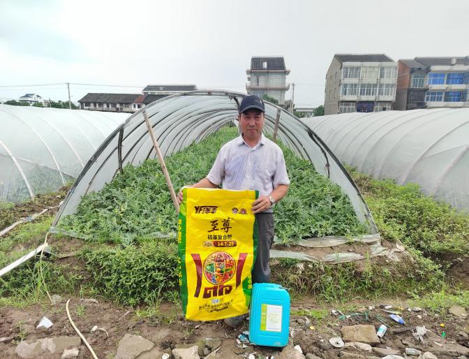 洋丰至尊葡萄、西瓜示范施肥现场照片2.jpg